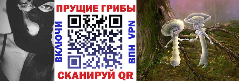kraken tor  Пойковский  Псилоцибиновые грибы Psilocybine cubensis  где найти  