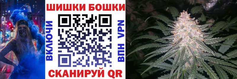 Канабис планчик Пойковский